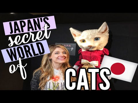 通過貓來講述日本的故事和傳說？// GA Ep.18 (Telling Japanese Stories & Legends through Cats??? // GA Ep.18)