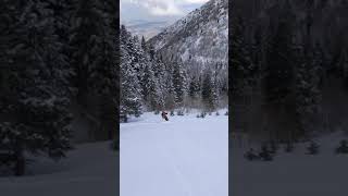 Video of skiing lower canyon section of Maple Mountain North Descent.