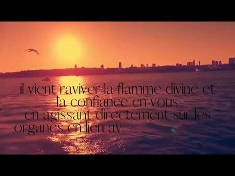 Découvrir le massage-soin Solar