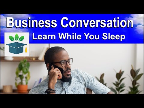 Business English Conversation Learn while you Sleep