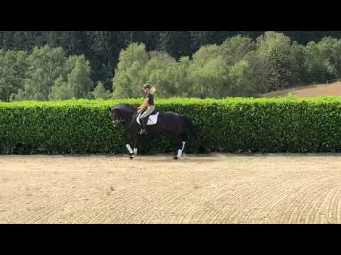 4 Jahre Fürsten-Look x Fleury