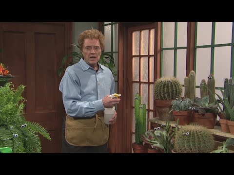 9 @ 9: Indoor gardening tips from a guy scared of plants