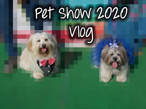Pet Show 2020 | Vlog | A Furry Tail Romance