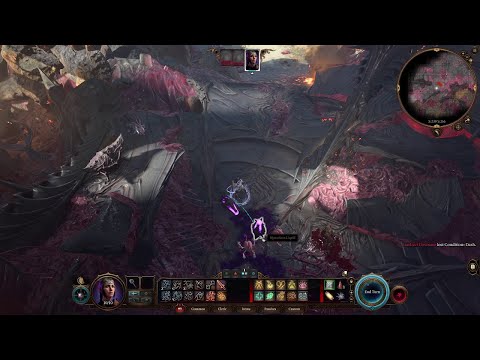 Easily defeat intellect devourers on the beach at any difficulty