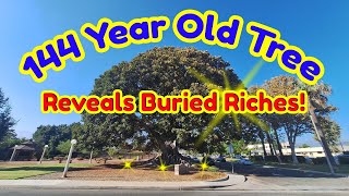 Park Metal Detecting: Reveals Hidden Treasure - OTHERS MISSED!😱