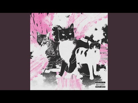 Video thumbnail for Caturday