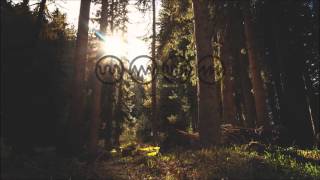 Most Days by Spatial Distortion