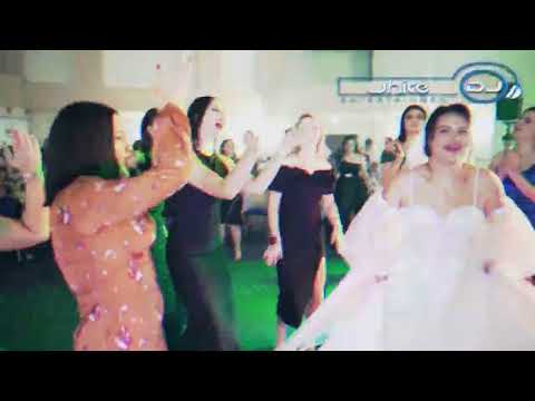 White Entertainment Dj - Momente show Nunta 2024