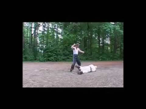 Dj Krush feat. Rino - Shin Sekai