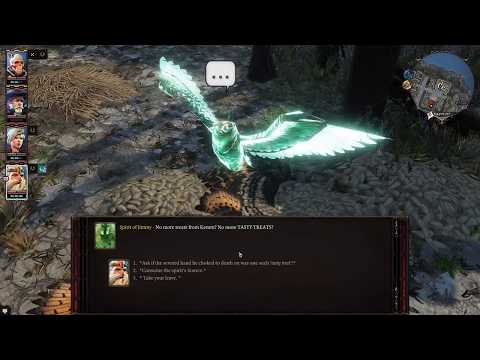 Divinity Original Sin 2 Linder Kemm's Owls