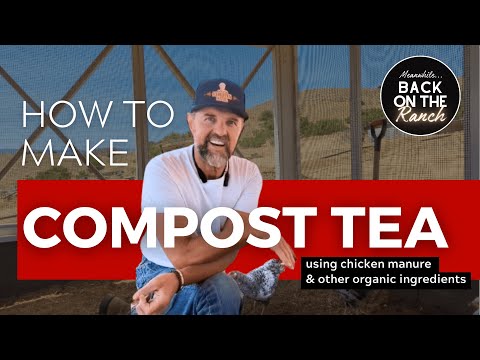 Compost Tea Explained: Chickens Aid Sustainable Brew