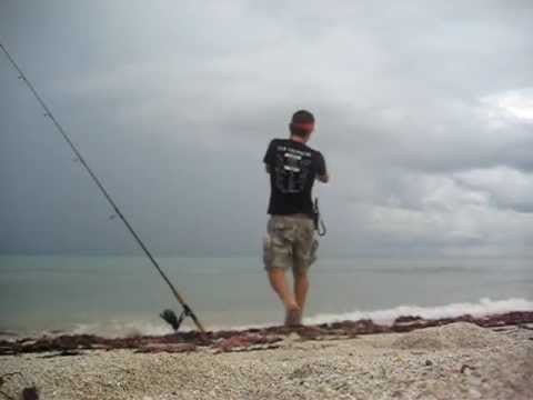 Aziz Miami Beach Snook Fishing