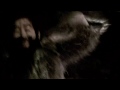 The Sticky - Black Moth Super Rainbow