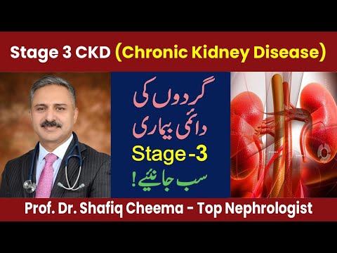 Chronic Kidney Disease (CKD) Stage 3 | Causes, Symptoms & Treatment | Professor Shafiq Cheema