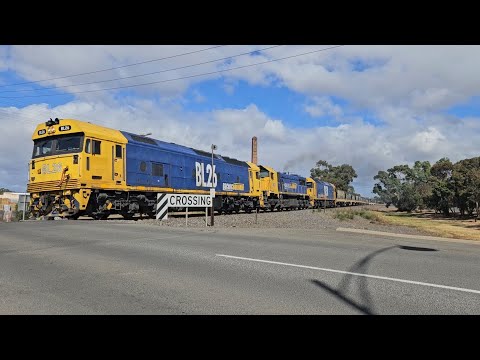 7736V PN loaded grain train (BL26, X50, BL30), Dimboola to Geelong, 1115, 15/2/25, Stawell VIC