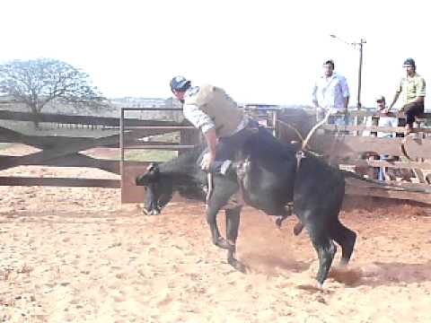 Cia Trombeta - Touro Cadillac