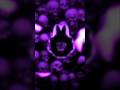 GLORY Super Slowed Funk Phonk Music Song Foryou Slowed