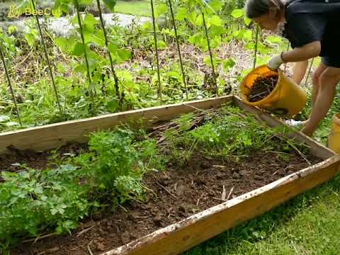 Jak własnymi rękami buduję łóżka permakulturowe.