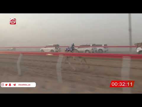 ش 8 (شاهين) لـ مبارك سلطان كلثم الخييلي 2:05 , شارة الصندوق 2026/06/20 فطامين الروضة 