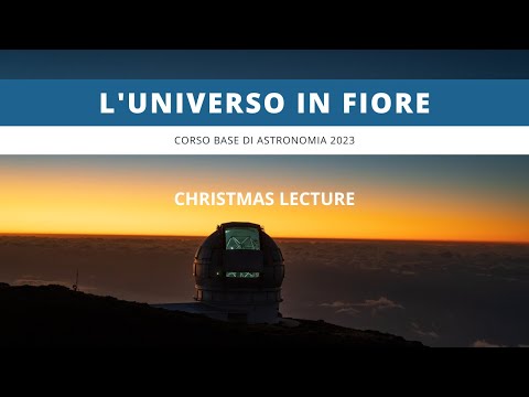 Universo in fiore - corso base 2023 | CHRISTMAS LECTURE - A cosa servono le stelle?