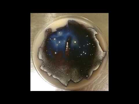 Gary Clail & Tackhead   Half Cut for Confidence 1985