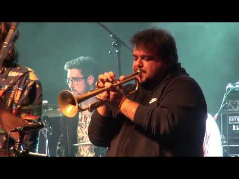 The Officinalis - Gege's Theme  (live at Freedom Sounds Festival 2022)