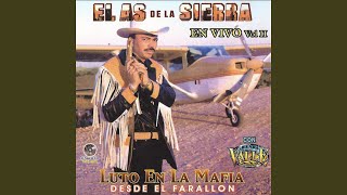 Mi Gusto Es (El Compa Capi) Lyrics English Translation