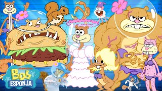 Bob Esponja | Ranking dos tamanhos da Sandy! 📏 | Bob Esponja em Português