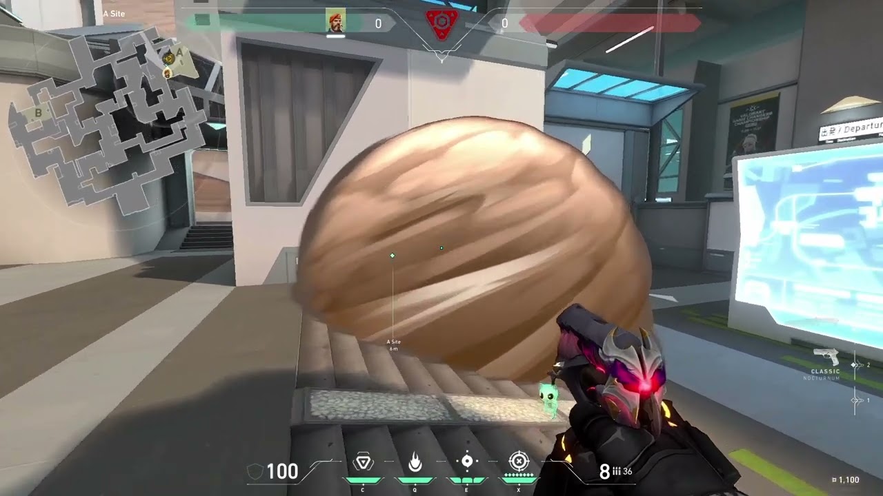 Miniature vidéo
