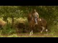Tommy and The Cool Mule - Trailer