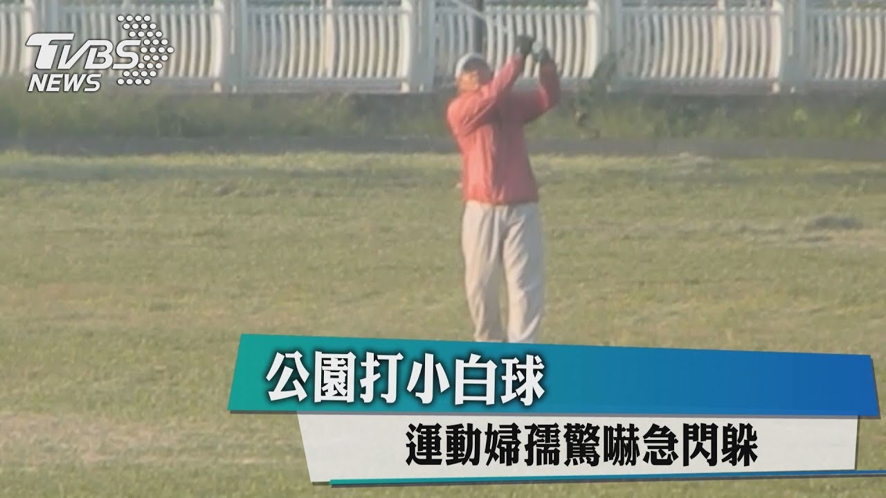 公園打小白球 運動婦孺驚嚇急閃躲