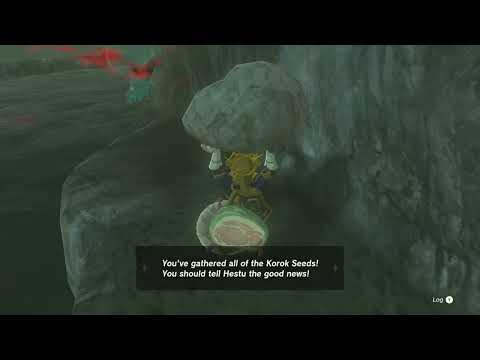 That feeling when you finally get that last Korok