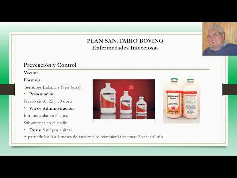 , title : 'Plan Sanitario Bovino para Enfermedades Infecciosas: Estomatitis Vesicular'