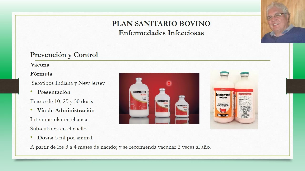Plan Sanitario Bovino para Enfermedades Infecciosas: Estomatitis Vesicular