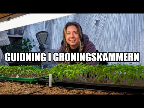 Guidning i groningskammaren - Kosters Trädgårdar