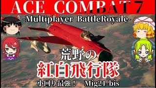 【ACECOMBAT7】ゆっくりマルチプレイ＃4　紅白巫女と紅白ミグの空戦格闘　２試合動画【エースコンバット７】