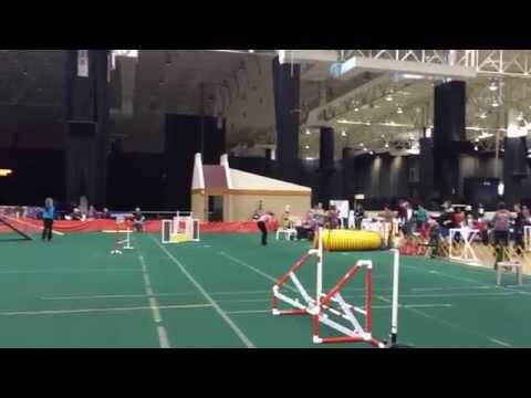 Shooter Open Standard Cleveland 12 13 14