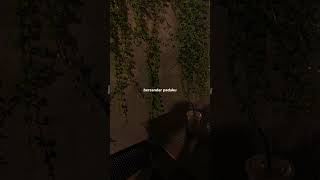 Download lagu Tak Lagi Sama - Noah #noahband #liriklagu #storywa #musiclyrics #shortsmusic #musik #musikvideo mp3