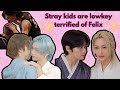 Just Stray Kıds Being Lowkey Terrified Of Felix Skz Funny Moments