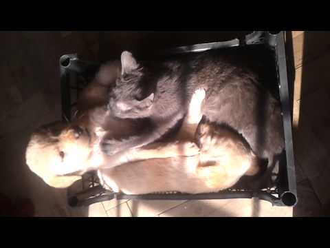 buchi, gucci da fiso :D