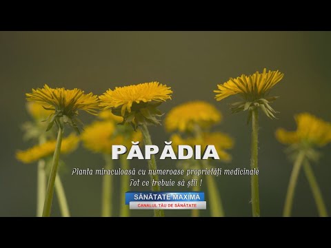 , title : 'PAPADIA - Planta miraculoasa cu numeroase proprietati medicinale'