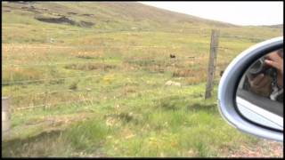 Shetland flight (Tingwall) ship(Lerwick)