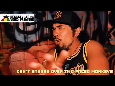 Inna Vision - Don't Stress [Official Video 2023]