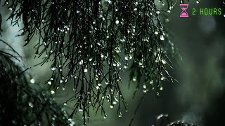 2 Hours of Heavy Rain no thunder sound for SLEEPING INSTANTLY within 3 minutes calm and relaxed