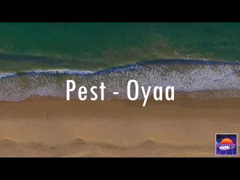 Pest - Oyaa (Lyrics Video)