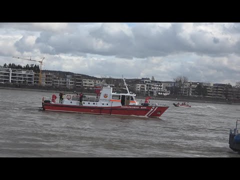 Ruderboot - 3 Insassen droht zu kentern an Insel Nonnenwerth - BF Bonn im Einsatz in Remagen 1.3.20
