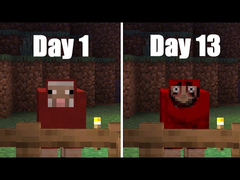 My Red Sheep Developed a Creepy Smile