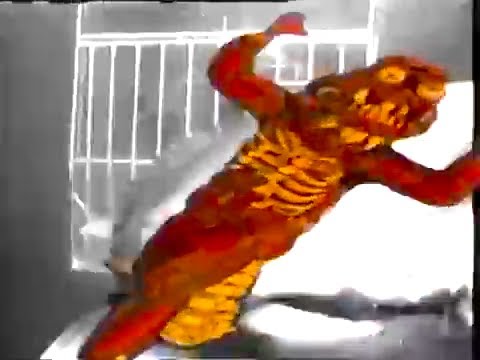 Fight video thumbnail