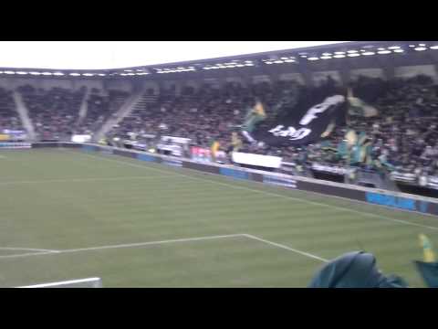 FC Den Haag rungtinių atmosfera