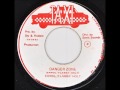 Errol 'Flabba' Holt - Danger Zone + Dub - 7" Taxi 1982 - LOVERS ROCK 80'S DANCEHALL